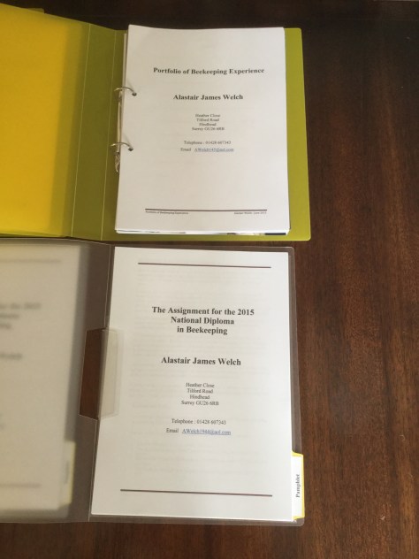 Portfolio and Written Assignment