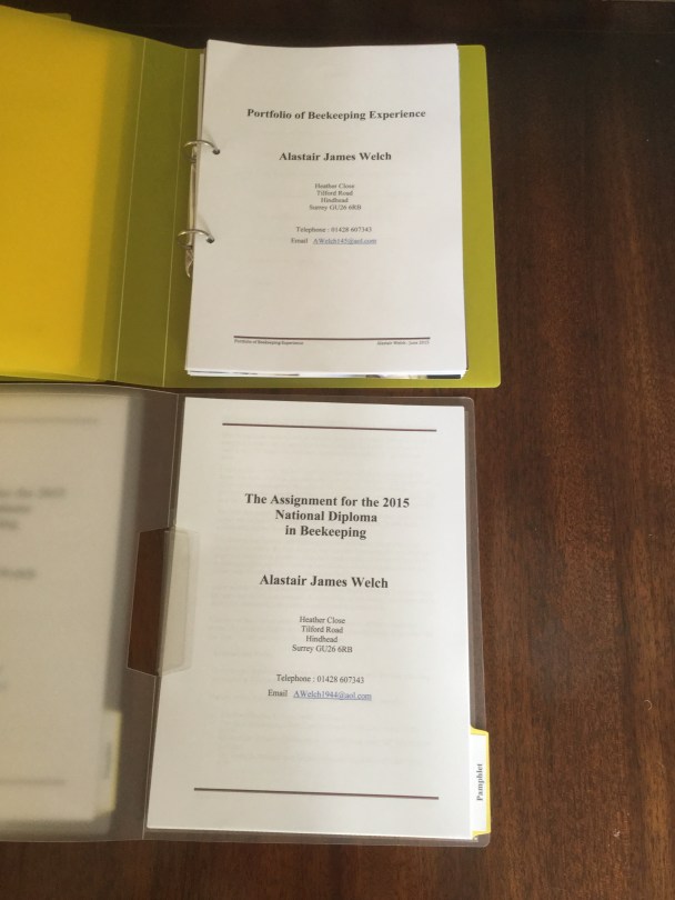 Portfolio and Written Assignment