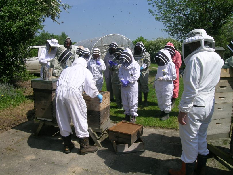 Students at the Advanced Course in York.
