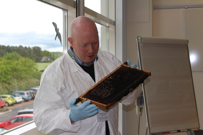 Ability to diagnose brood diseases, such as AFB is required for the exam.