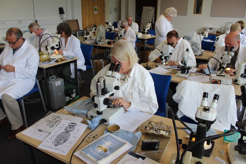 Students on an NDB Course