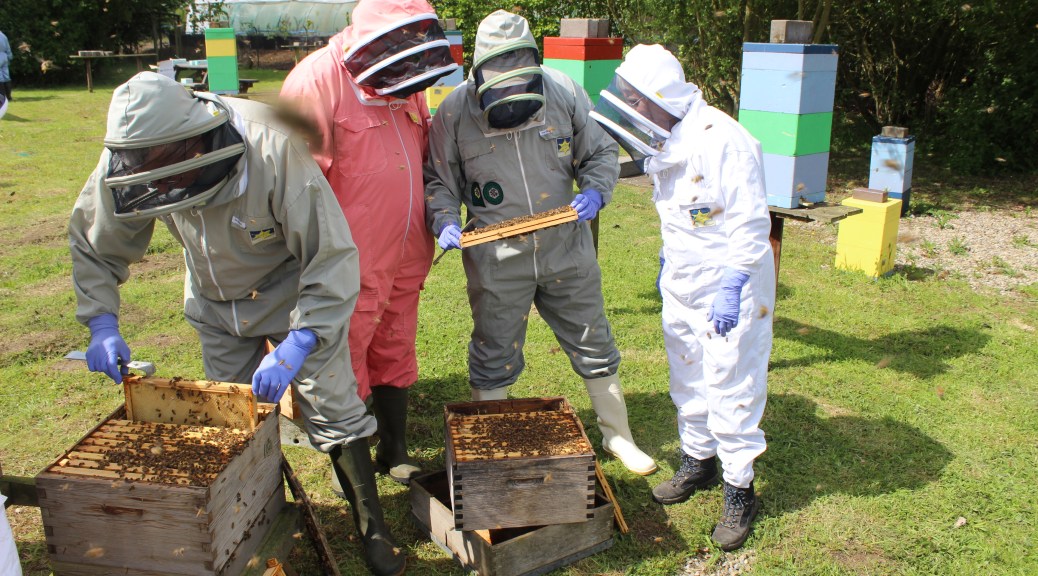 NDB Advanced Course students at work