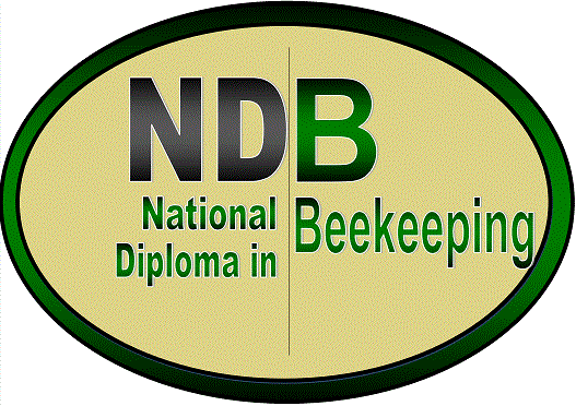 NDB Logo