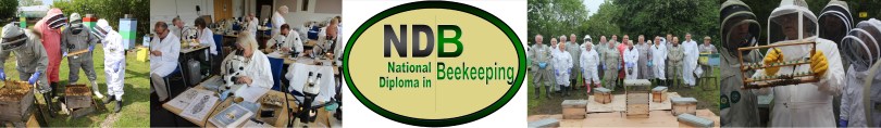 NDB Students on Advanced Course