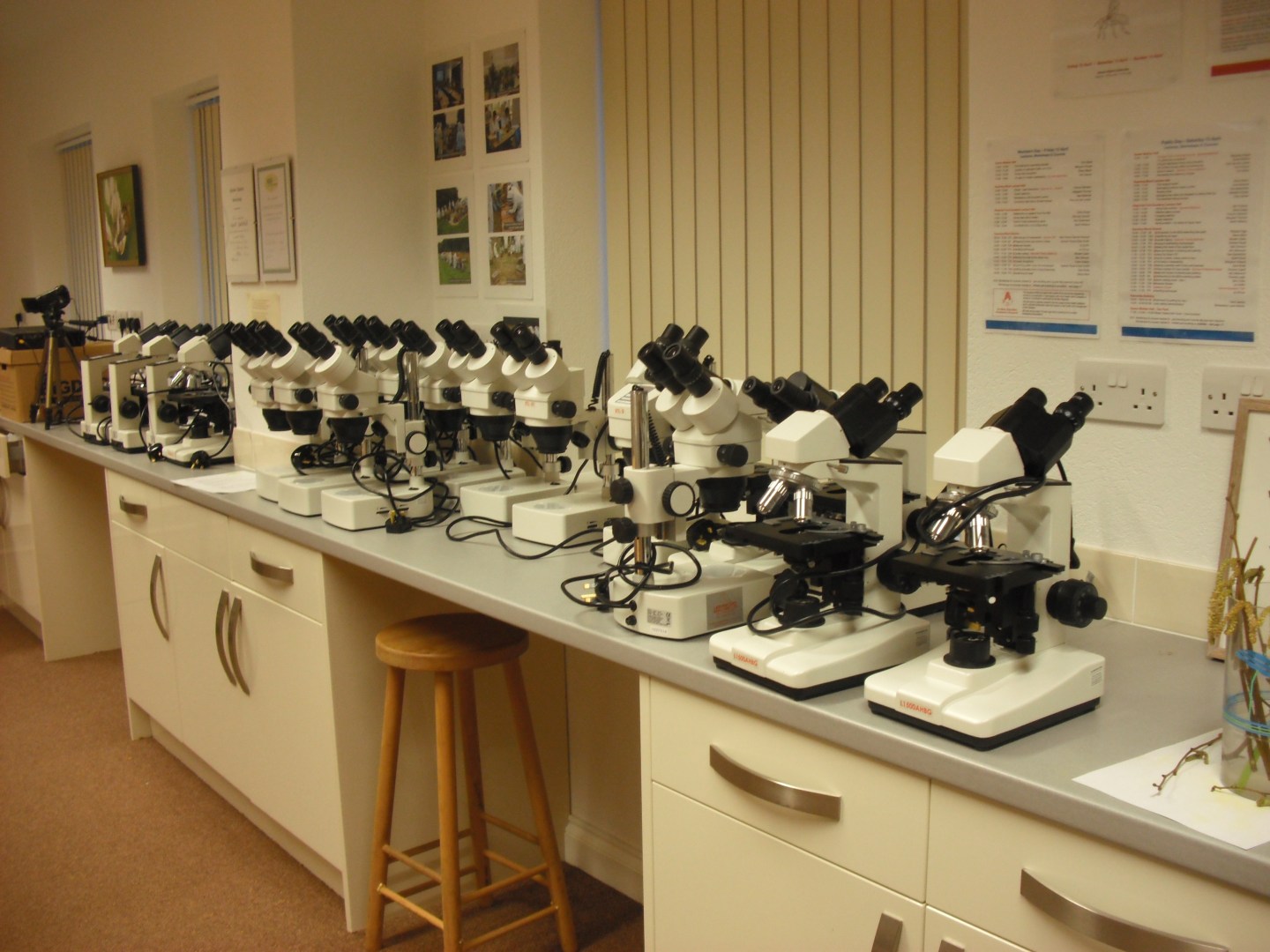 Microscopy for Beekeepers Short Course | National Diploma in Beekeeping