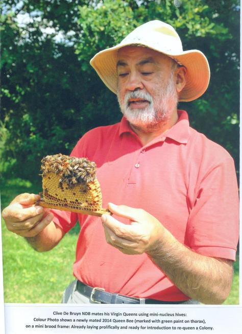 Clive de Bruyn examining a queen rearing mini-nucleus